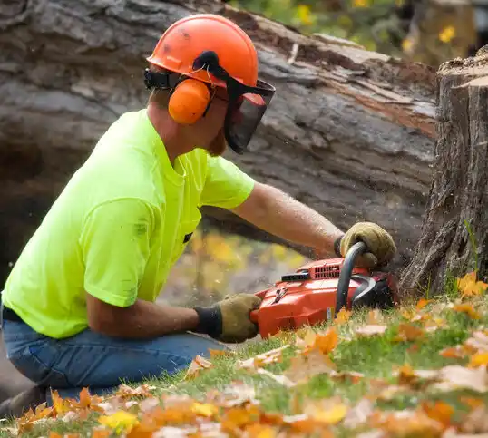 tree services Rahway